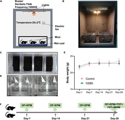 The Impacts of Workplace Environment on Coal Miners’ Emotion and Cognition Depicted in a Mouse Model